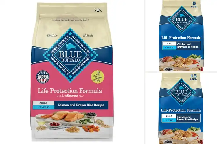 Detailed view of Best Adult Dog Foods for Immunity