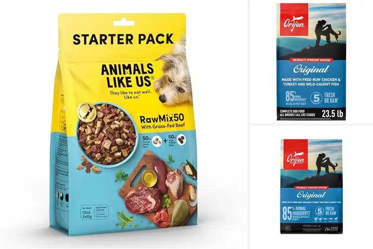 Detailed view of Best Animal Protein Dense Dry Dog Food With WholePrey