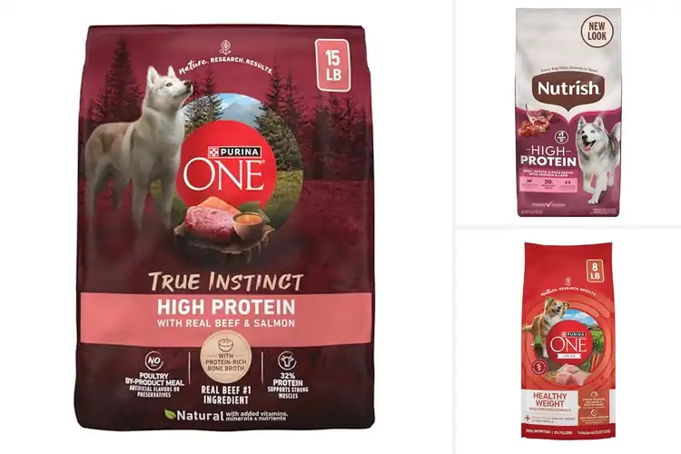Detailed view of Best Animal Protein Dog Food: Top Picks for a Healthy Pup