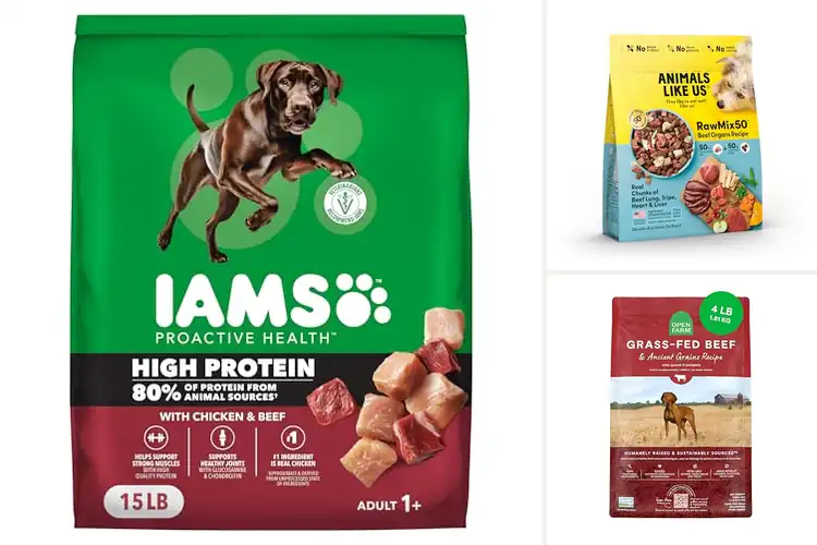 Detailed view of Best Animal Protein Dog Foods