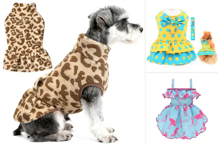 Detailed view of Best Bathroom Friendly Dog Dress