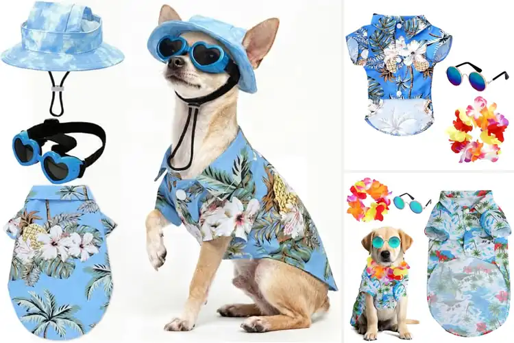 Detailed view of Best Beach Party Dog Outfit: 10 Stylish Summer Looks