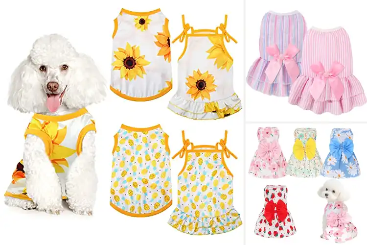 Detailed view of Best Breathable Dog Dresses