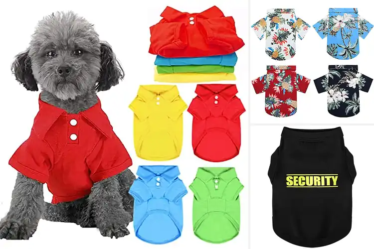 Detailed view of Best Breathable Dog Outfits: Top 10 Cool & Stylish Picks