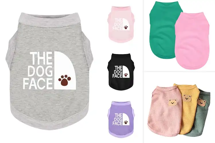 Detailed view of Best Breathable Pet Wear: Keep Your Pet Cool & Stylish Daily