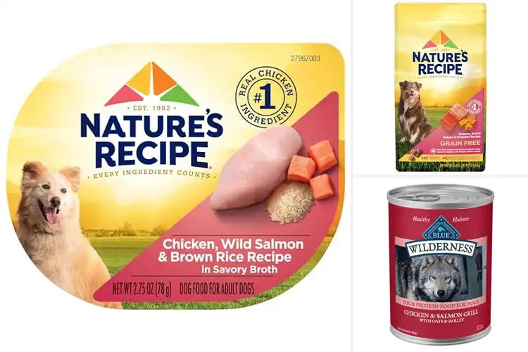 Detailed view of Best Chicken And Salmon Dog Foods: Top Tasty Healthy Picks