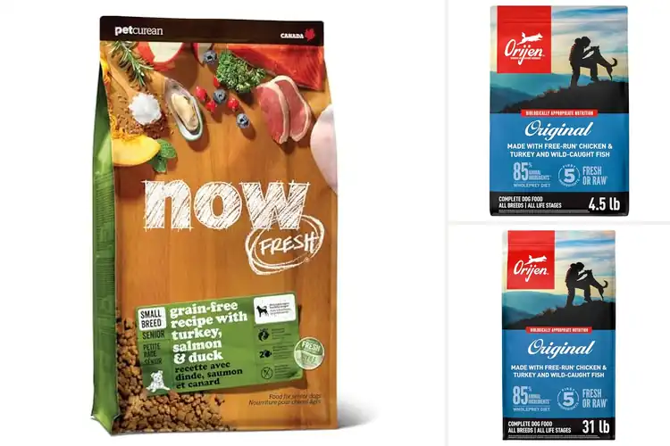 Detailed view of Best Chicken Turkey Salmon Dry Dog Foods