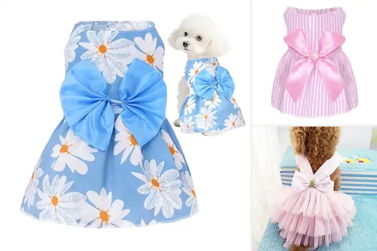 Detailed view of Best Comfortable Pet Dress For Puppies