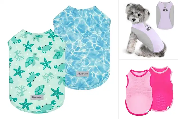 Detailed view of Best Cooling Dog Clothes