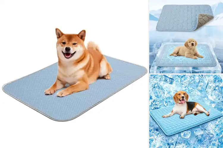 Detailed view of Best Cooling Dog Fabrics For Small Dogs