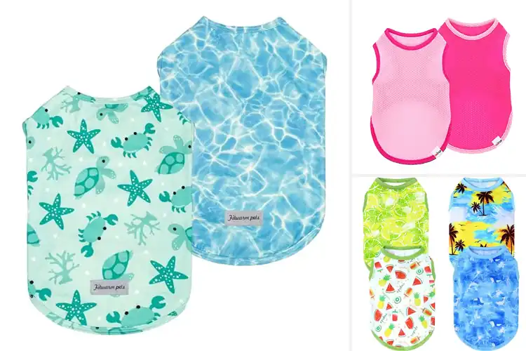 Detailed view of Best Cooling Pet Clothes