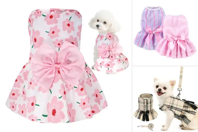 Detailed view of Best Cute Dog Dress Design: 10 Adorable Styles for Your Pup