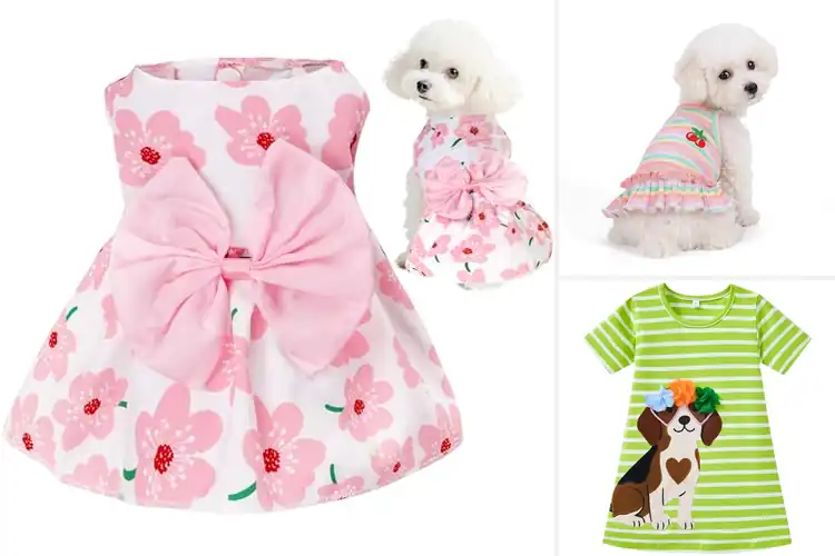 Detailed view of Best Cute Dog Dress For Girls: 10 Adorable Summer Styles