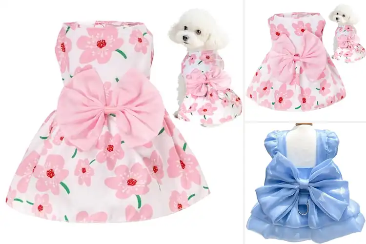 Detailed view of Best Cute Dog Dress