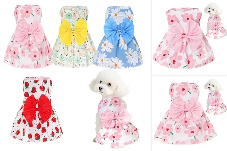Detailed view of Best Cute Dog Dresses