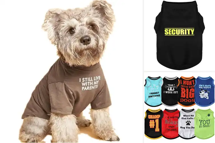 Detailed view of Best Cute Dog Shirts: Top 10 Stylish & Comfortable Picks
