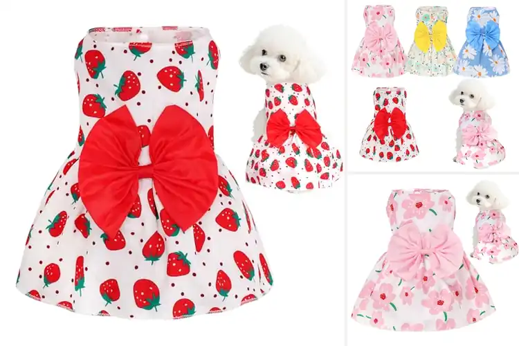 Detailed view of Best Cute Element Dog Dress
