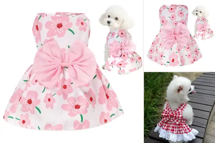 Detailed view of Best Cute Pet Dresses For Small Dogs And Cats