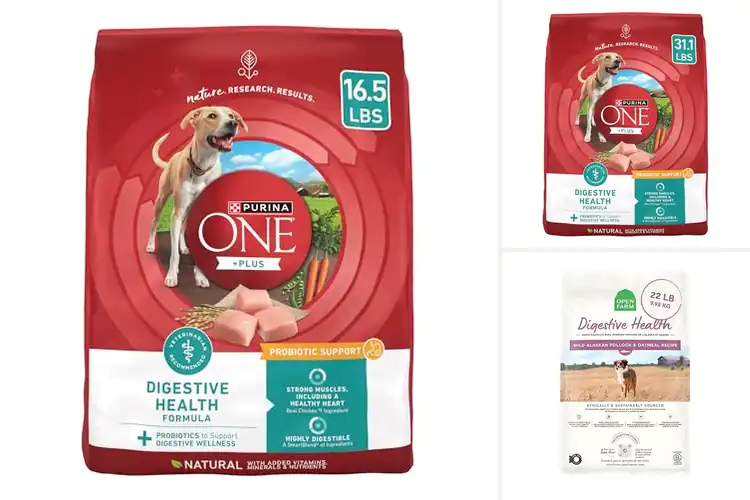 Detailed view of Best Digestive Health Dog Food