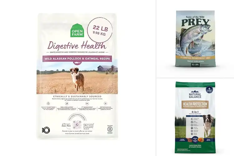 Detailed view of Best Digestive Health Dog Food With Prey Ingredients