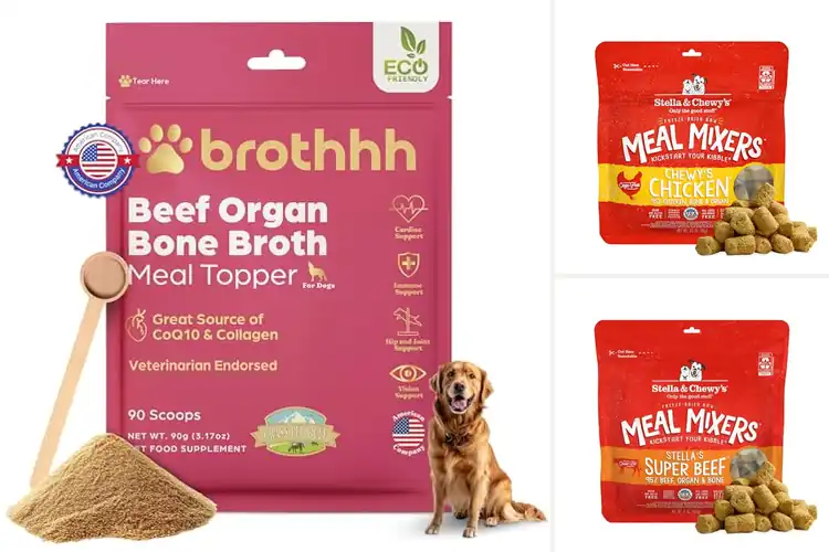Detailed view of Best Digestive Health Dog Foods With Organs And Bones