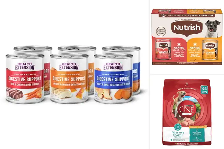 Detailed view of Best Digestive Support Dog Foods