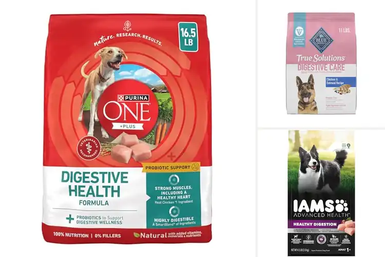 Detailed view of Best Digestive Support Dry Dog Foods
