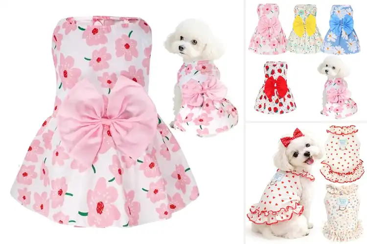 Detailed view of Best Dog Dresses: 10 Adorable Styles for Your Furry Friend