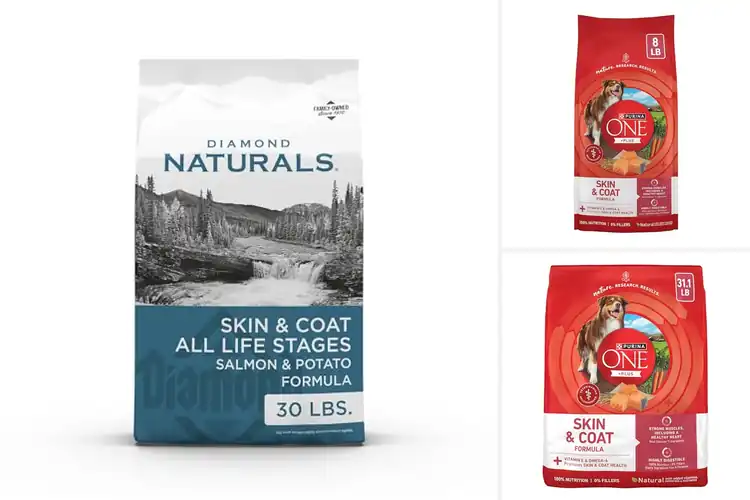 Detailed view of Best Dog Food For Skin And Coat: Shiny Coats, Happy Dogs