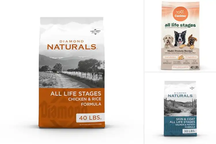 Detailed view of Best Dog Foods For All Life Stages
