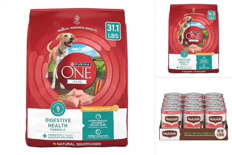 Detailed view of Best Dog Foods For Digestion: Top Picks for a Happy Tummy