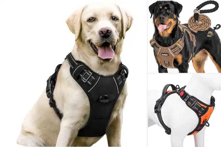 Detailed view of Best Dog Vests: Top 10 Picks for Safety & Comfort