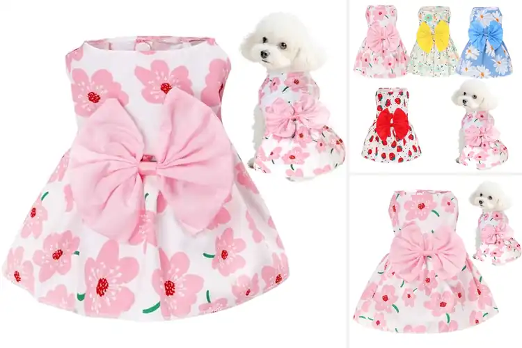 Detailed view of Best Dress For Puppies And Cats: 10 Stylish & Comfy Outfits