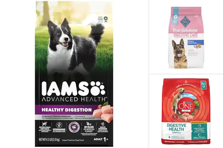 Detailed view of Best Dry Dog Food For Digestion: Calm Tummies, Happy Dogs