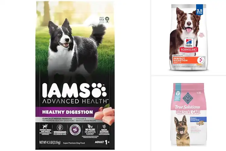 Detailed view of Best Dry Dog Foods For Digestion