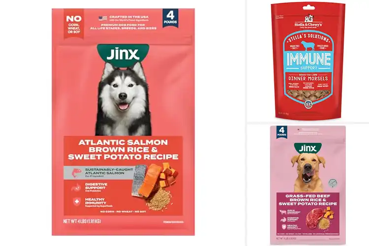 Detailed view of Best Dry Dog Foods For Immune Support