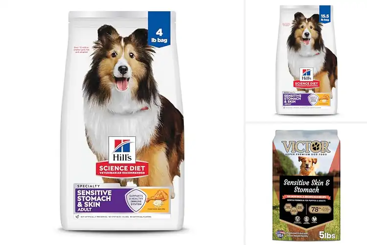 Detailed view of Best Dry Dog Foods For Sensitive Stomachs