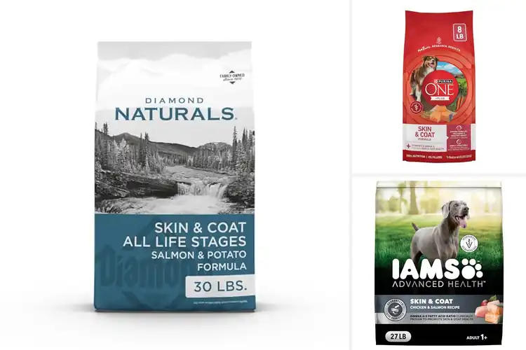 Detailed view of Best Dry Dog Foods For Skin And Coat