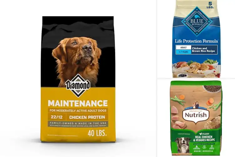Detailed view of Best Dry Dog Foods Made In USA