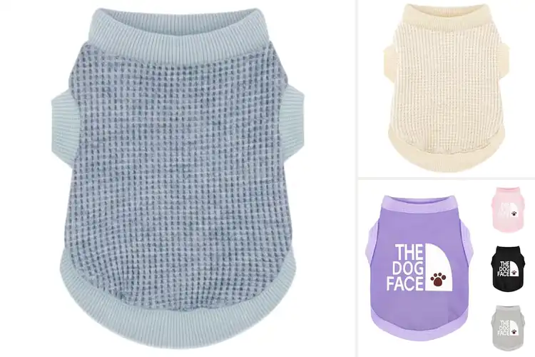 Detailed view of Best Easy-On Dog Attire: 10 Stylish & Simple Picks