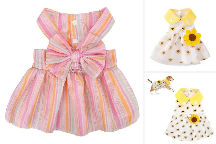 Detailed view of Best Easy On Easy Off Dog Dress: 10 Quick & Stylish Picks