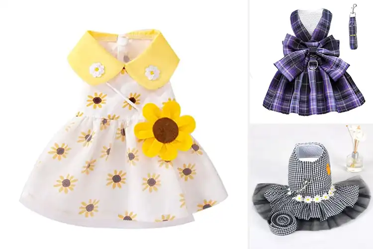 Detailed view of Best Easy On Easy Off Dog Dresses: 10 Stress-Free Styles