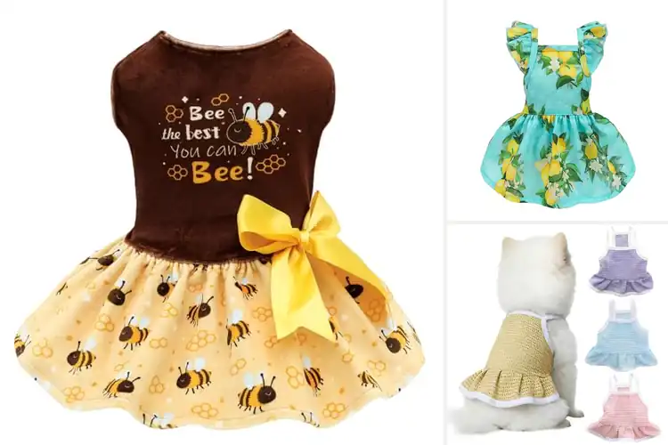 Detailed view of Best Easy On Off Dog Dress: 10 Adorable & Practical Picks