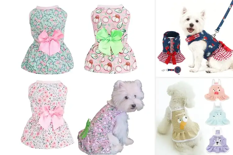 Detailed view of Best Easy-Pullover Dog Dress: 10 Stylish & Comfy Picks