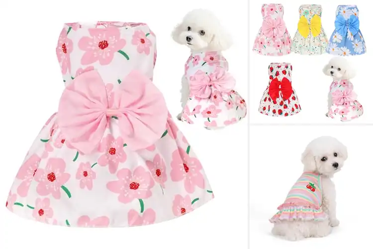 Detailed view of Best Fit Pet Dresses