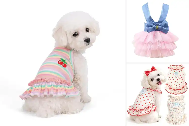 Detailed view of Best Fitting Dog Dress For Small Breeds