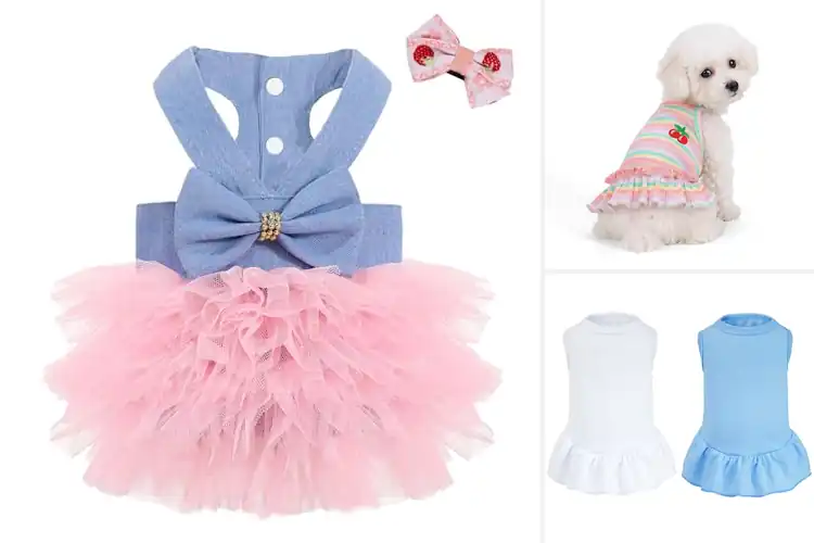 Detailed view of Best Fitting Dog Dresses For Small Breeds