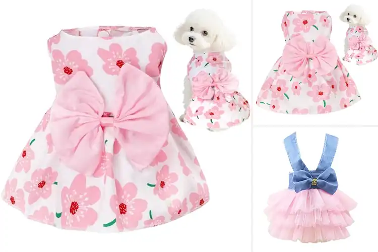 Detailed view of Best Fitting Dog Dresses For Small Dogs