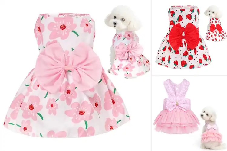 Detailed view of Best Fitting Pet Dress