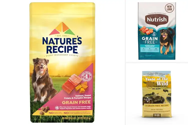 Detailed view of Best Grain Free Dog Food for a Healthier, Happier Pup
